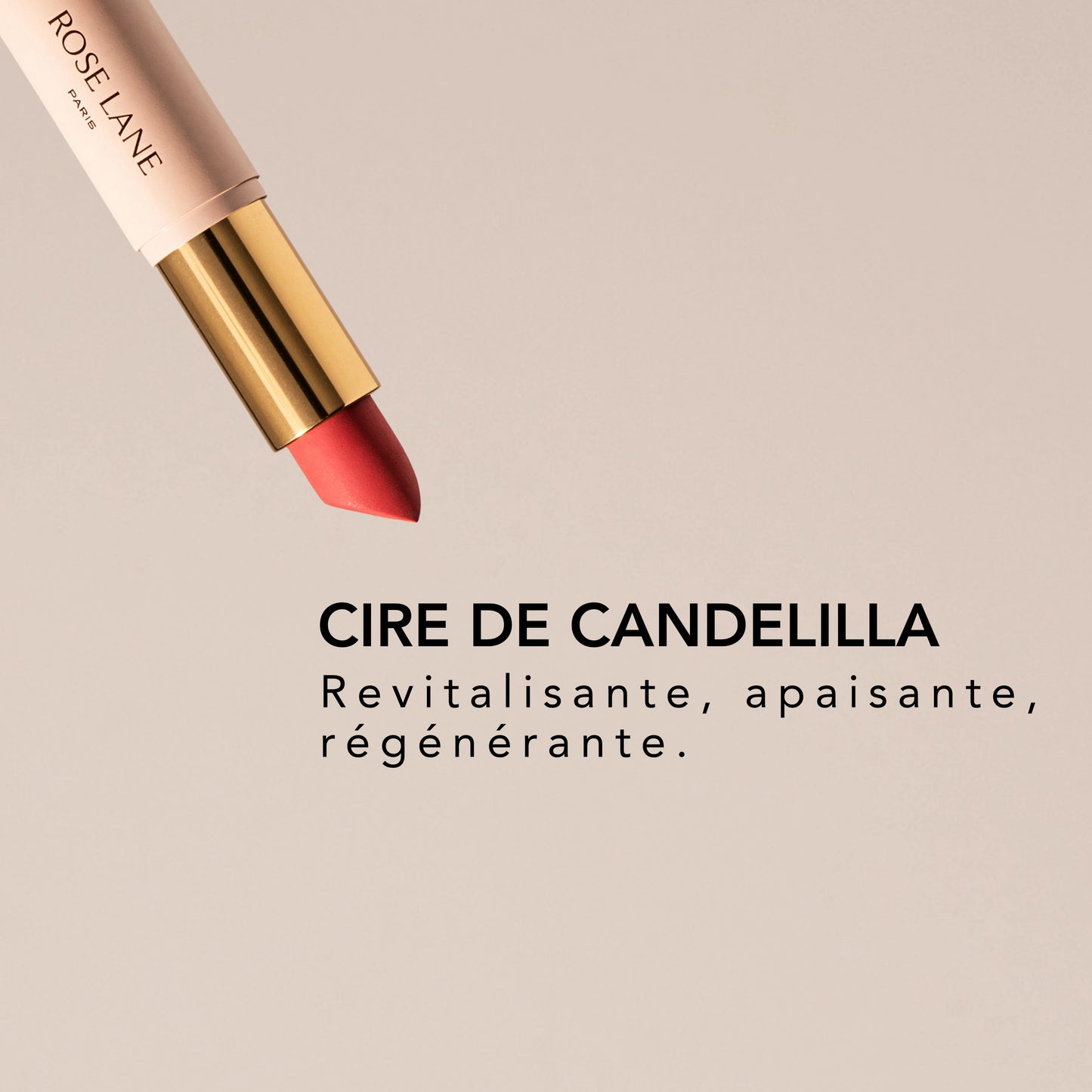 Rouge à lèvres naturel