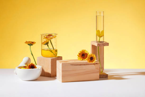 Huile de Candelilla, un ingrédient naturel et vegan