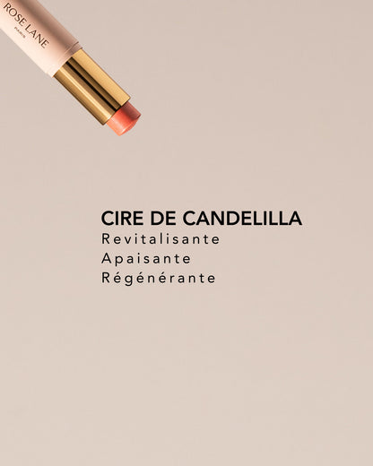 THE GLOW SET -  Mascara et Multi-Blush Crème