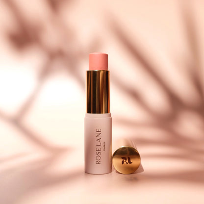 SUMMER DAY & NIGHT SET - Mascara, Blush and two Lipsticks
