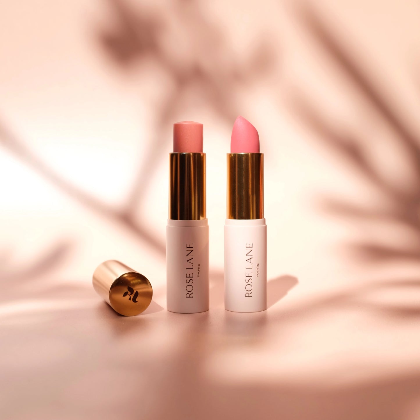 LA VIE EN ROSE SET -  Rouge à lèvres & Multi-Blush Crème